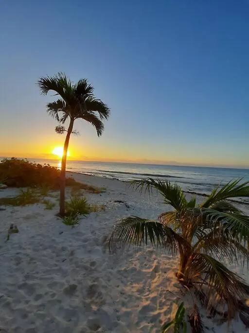 Hermoso Depto Nuevo Equipado 6 Pers, Playa Carmen Playa del Carmen Lägenhet